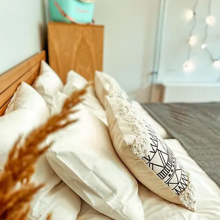 Suvituse Studio By Overnight * 페르누